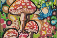 2021 Mushroom Series